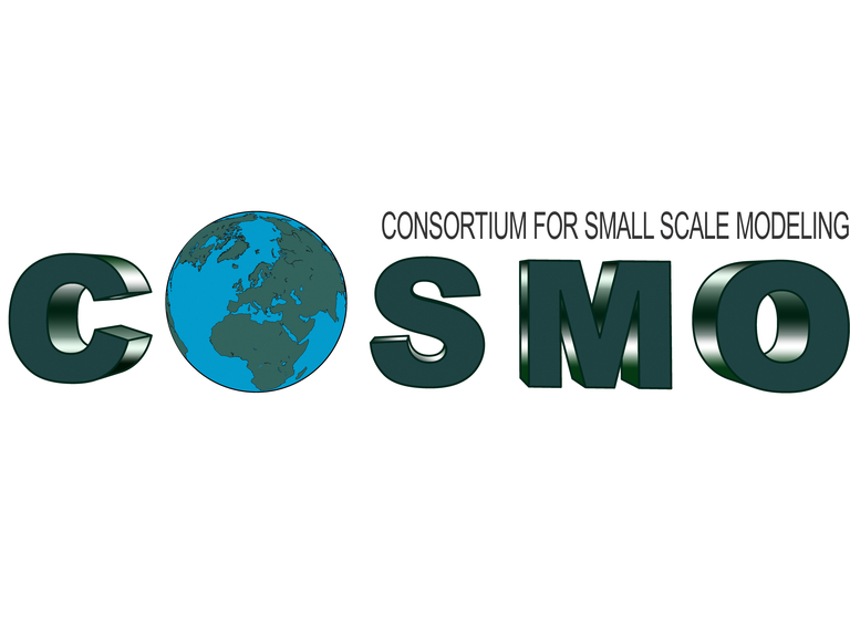 COSMO: Consortium for Small-Scale Modeling